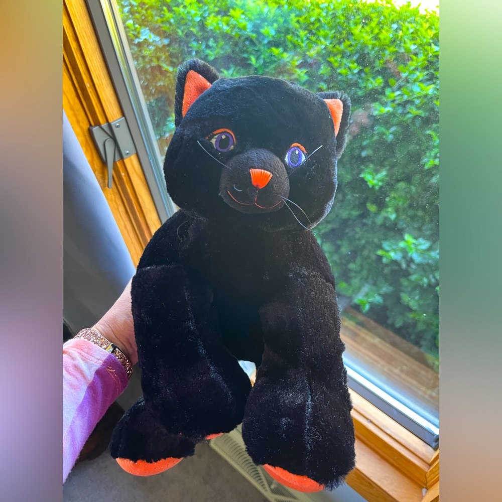 HALLOWEEN CAT BUILD A BEAR